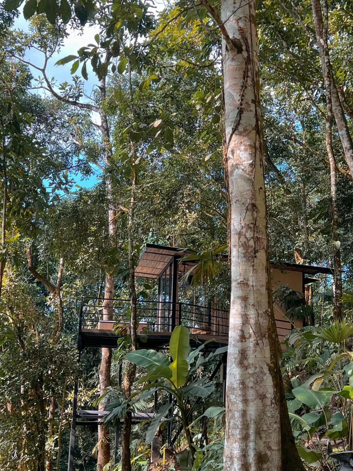 Rincon De La Sierra Minca Hotell Exteriör bild
