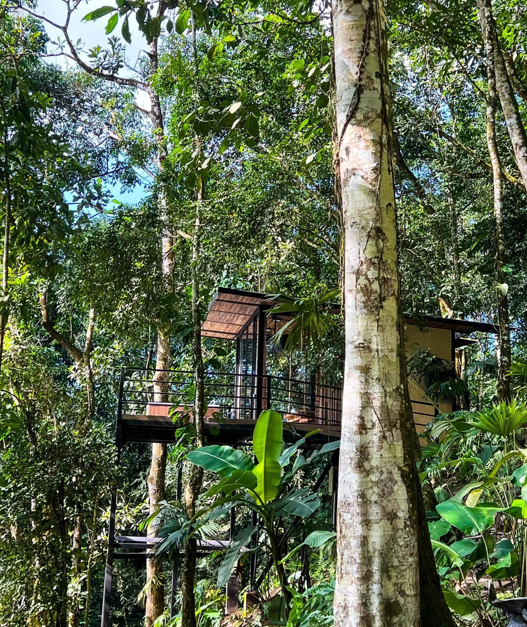 Rincon De La Sierra Minca Hotell Exteriör bild